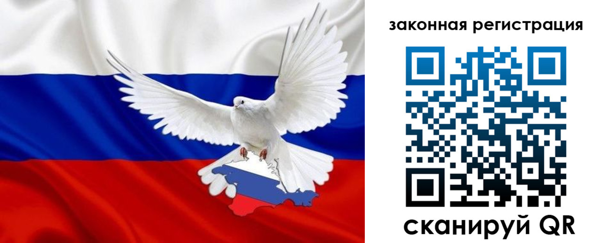 где прописаться в Камышине